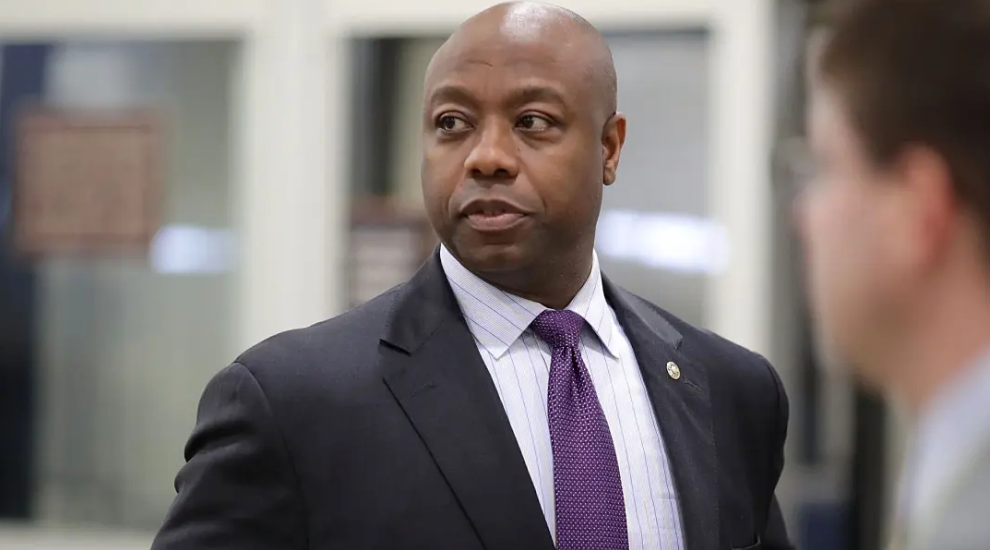 tim scott net worth